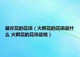 彼岸花的花语（火鹤花的花语是什么 火鹤花的花语是啥）