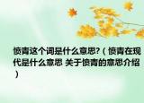 愤青这个词是什么意思?（愤青在现代是什么意思 关于愤青的意思介绍）