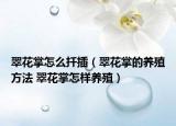翠花掌怎么扦插（翠花掌的养殖方法 翠花掌怎样养殖）