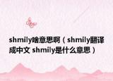 shmily啥意思啊（shmily翻译成中文 shmily是什么意思）