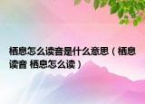栖息怎么读音是什么意思（栖息读音 栖息怎么读）
