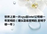 世界上第一片cpu是intel公司哪一年发明的（罐头是谁发明的 发明于哪一年）