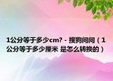 1公分等于多少cm? - 搜狗问问（1公分等于多少厘米 是怎么转换的）