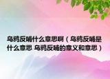 乌鸦反哺什么意思啊（乌鸦反哺是什么意思 乌鸦反哺的意义和意思）