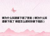 蝉为什么知道要下雨了答案（蝉为什么知道要下雨了 蝉是怎么感知快要下雨的）