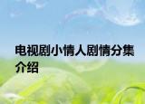 电视剧小情人剧情分集介绍