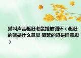 猫叫声音驱赶老鼠播放循环（驱赶的驱是什么意思 驱赶的驱是啥意思）