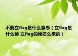 不要立flag是什么意思（立flag是什么梗 立flag的梗怎么来的）