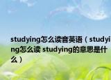 studying怎么读音英语（studying怎么读 studying的意思是什么）