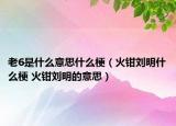 老6是什么意思什么梗（火钳刘明什么梗 火钳刘明的意思）