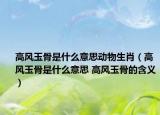 高风玉骨是什么意思动物生肖（高风玉骨是什么意思 高风玉骨的含义）
