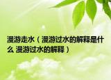 漫游走水（漫游过水的解释是什么 漫游过水的解释）