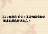 王菲 我愿意 歌词（王菲我愿意歌词 王菲我愿意歌词全文）
