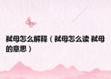 弑母怎么解释（弑母怎么读 弑母的意思）