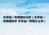 木字加一笔有哪些汉字（木字加一笔有哪些字 木字加一笔有什么字）