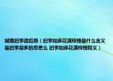 城南旧事读后感（旧事如藤花满枝桠是什么含义是旧事很多的意思么 旧事如藤花满枝桠释义）