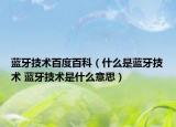 蓝牙技术百度百科（什么是蓝牙技术 蓝牙技术是什么意思）