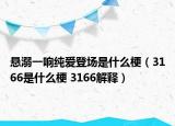 悬溺一响纯爱登场是什么梗（3166是什么梗 3166解释）