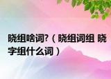 晓组啥词?（晓组词组 晓字组什么词）