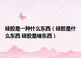 硅胶是一种什么东西（硅胶是什么东西 硅胶是啥东西）
