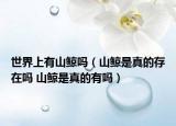 世界上有山鲸吗（山鲸是真的存在吗 山鲸是真的有吗）