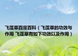 飞蓬草百度百科（飞蓬草的功效与作用 飞蓬草有如下功效以及作用）