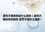 至死不懈意思是什么意思（至死不懈的意思解释 至死不懈怎么理解）
