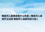 鲍鱼对人的身体有什么作用（鲍鱼对人体有什么功效 鲍鱼对人体的功效介绍）