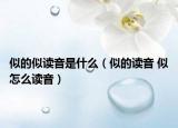 似的似读音是什么（似的读音 似怎么读音）
