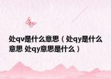 处qv是什么意思（处qy是什么意思 处qy意思是什么）