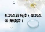 乩怎么读音读（藳怎么读 藳读音）