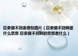 臣妾做不到表情包图片（臣妾做不到啊是什么意思 臣妾做不到啊的意思是什么）