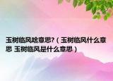 玉树临风啥意思?（玉树临风什么意思 玉树临风是什么意思）