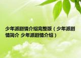 少年派剧情介绍完整版（少年派剧情简介 少年派剧情介绍）