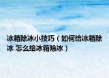 冰箱除冰小技巧（如何给冰箱除冰 怎么给冰箱除冰）