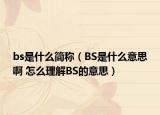 bs是什么简称（BS是什么意思啊 怎么理解BS的意思）