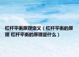 杠杆平衡原理定义（杠杆平衡的原理 杠杆平衡的原理是什么）