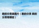 数的分类表图片（数的分类 数的分类有哪些）