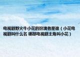 电视剧野火牛小花的扮演者是谁（小花电视剧叫什么名 哪部电视剧主角叫小花）