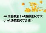 a4 纸的像素（a4纸像素尺寸大小 a4纸像素尺寸介绍）