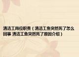清洁工岗位职责（清洁工鱼突然死了怎么回事 清洁工鱼突然死了原因介绍）