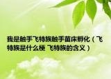 我是触手飞特族触手苗床孵化（飞特族是什么梗 飞特族的含义）