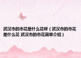 武汉市的市花是什么花呀（武汉市的市花是什么花 武汉市的市花简单介绍）