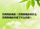 巴克狗的电影（巴克狗电影叫什么 巴克狗电影传递了什么内容）