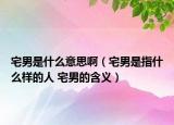 宅男是什么意思啊（宅男是指什么样的人 宅男的含义）