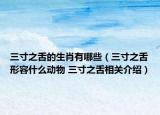 三寸之舌的生肖有哪些（三寸之舌形容什么动物 三寸之舌相关介绍）