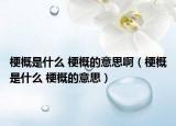 梗概是什么 梗概的意思啊（梗概是什么 梗概的意思）