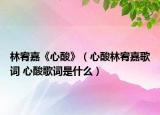 林宥嘉《心酸》（心酸林宥嘉歌词 心酸歌词是什么）