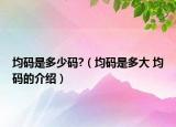 均码是多少码?（均码是多大 均码的介绍）