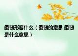 柔韧形容什么（柔韧的意思 柔韧是什么意思）